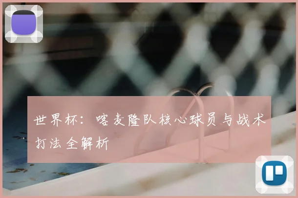 世界杯：喀麦隆队核心球员与战术打法全解析