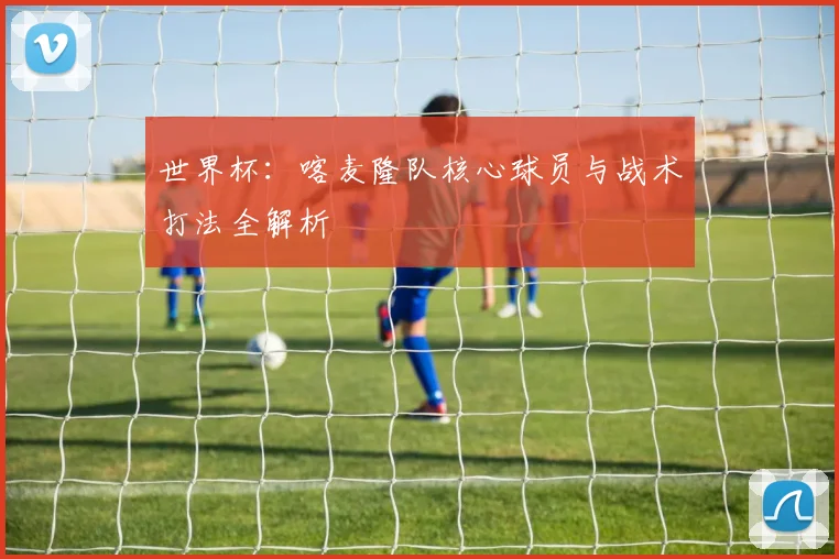 世界杯：喀麦隆队核心球员与战术打法全解析