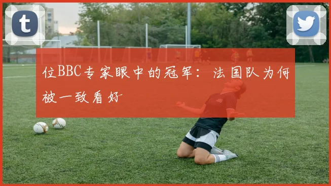 位BBC专家眼中的冠军：法国队为何被一致看好