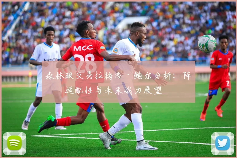 森林狼交易拉梅洛·鲍尔分析：阵容适配性与未来战力展望