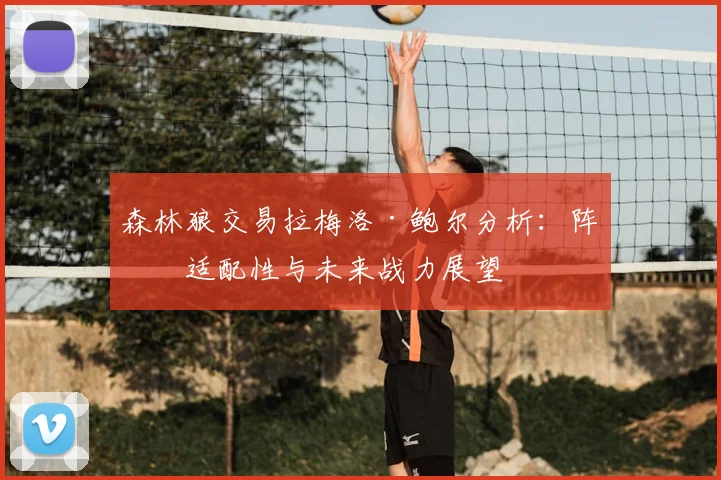森林狼交易拉梅洛·鲍尔分析：阵容适配性与未来战力展望