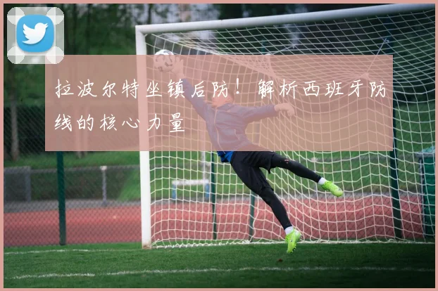 拉波尔特坐镇后防!解析西班牙防线的核心力量